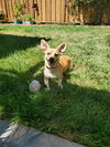 Finney