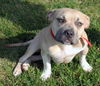 Lucy