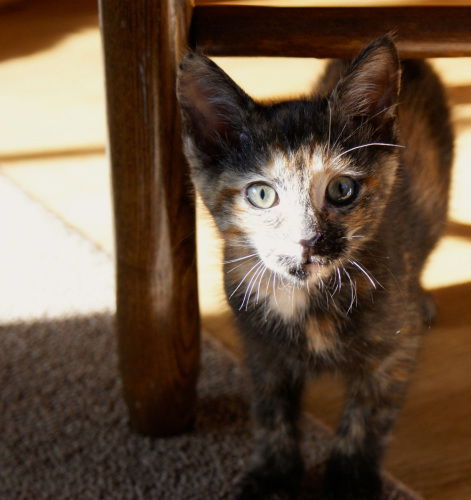Lucy
