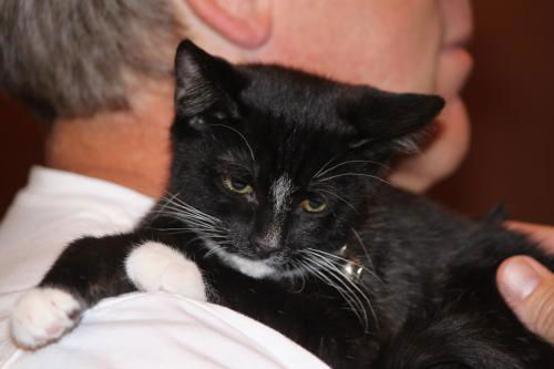 Binx