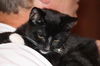 Binx