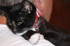 Binx