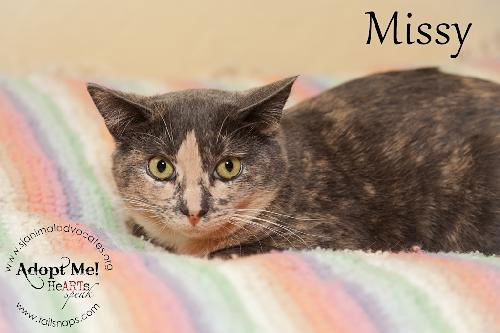 Missy