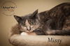 Missy