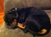 Quincy