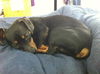 Quincy