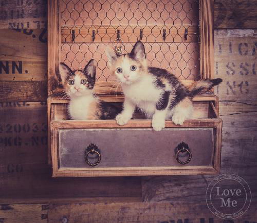 Ava and Libby