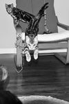 Tigger