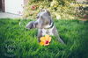 Lily