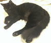 Black Jack