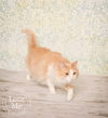 Oliver