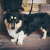 Monty