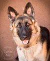 Kino