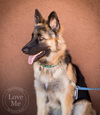 Kino