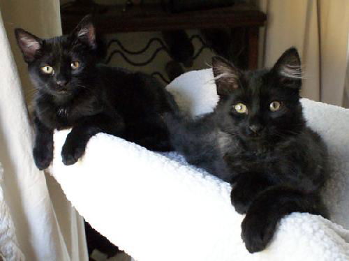 Sadie & Jack