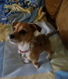 Tammy