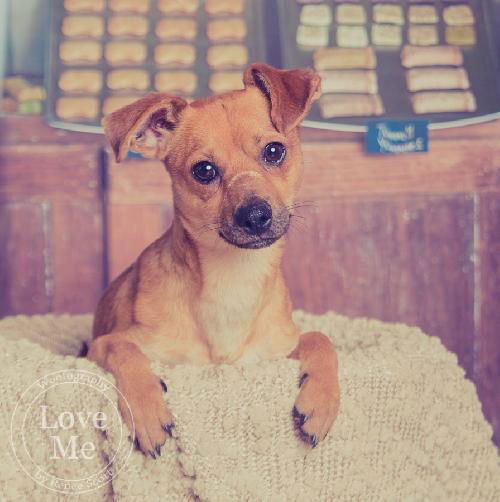 Chester