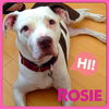 Rosie