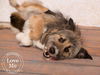 Nymeria