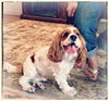 George