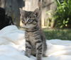 Lilian 