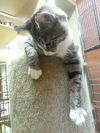 Jackson