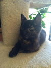 Salem