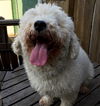 Rudy