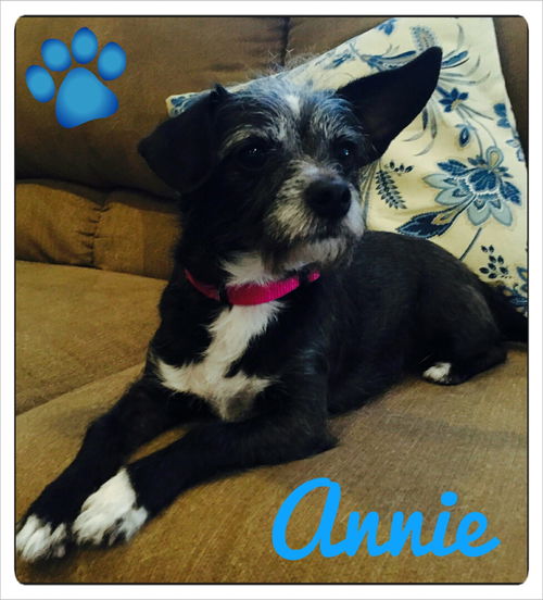 Annie
