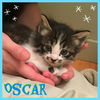 Oscar
