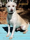 Toby - Photo 4