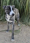Jonathan - Photo 2