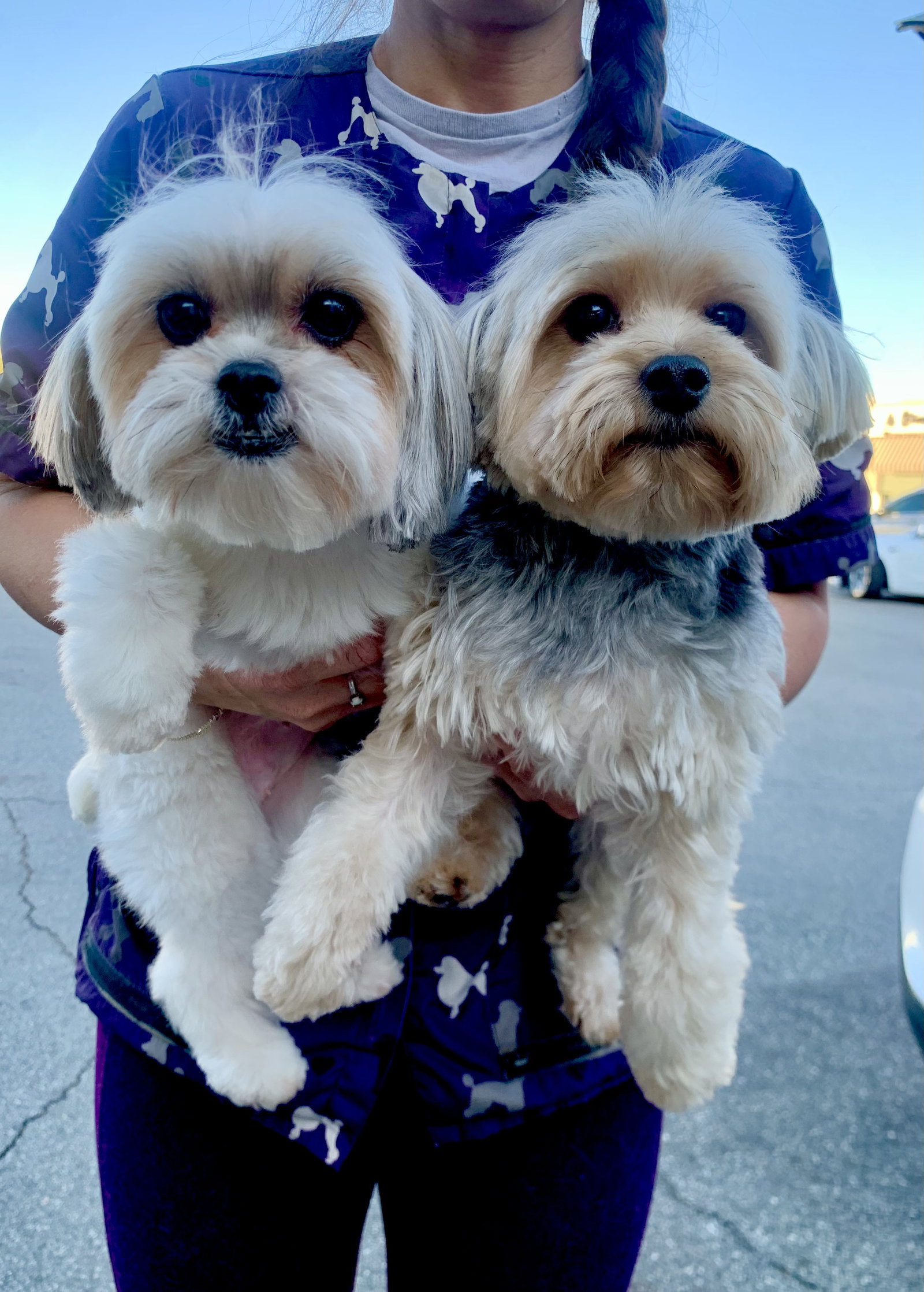 Krumpus & Mona