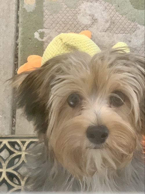 Precious photo 4