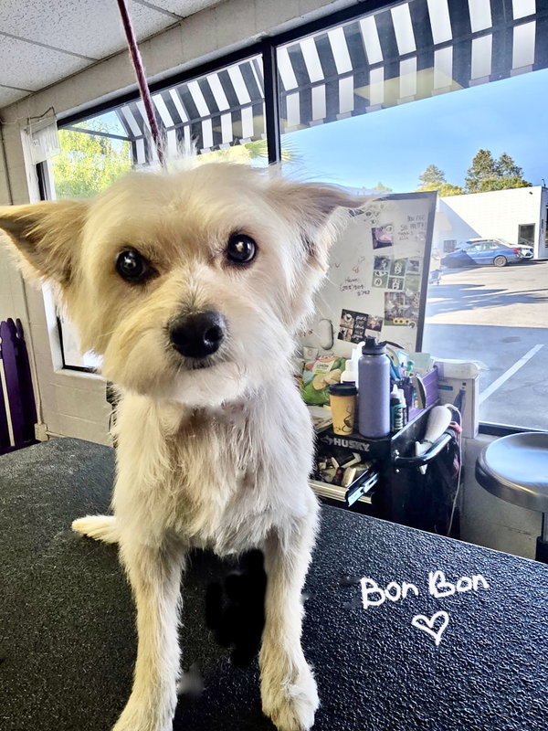 Bon Bon