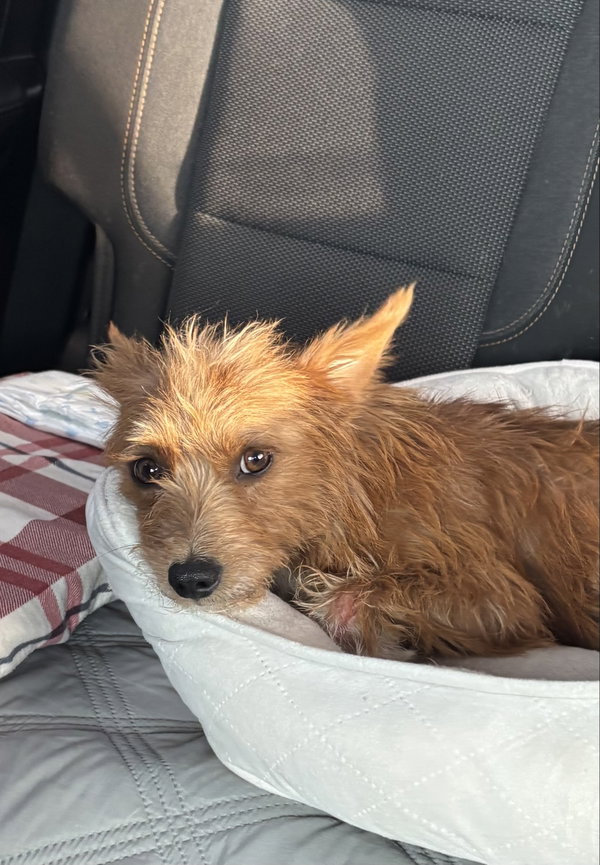 Max
