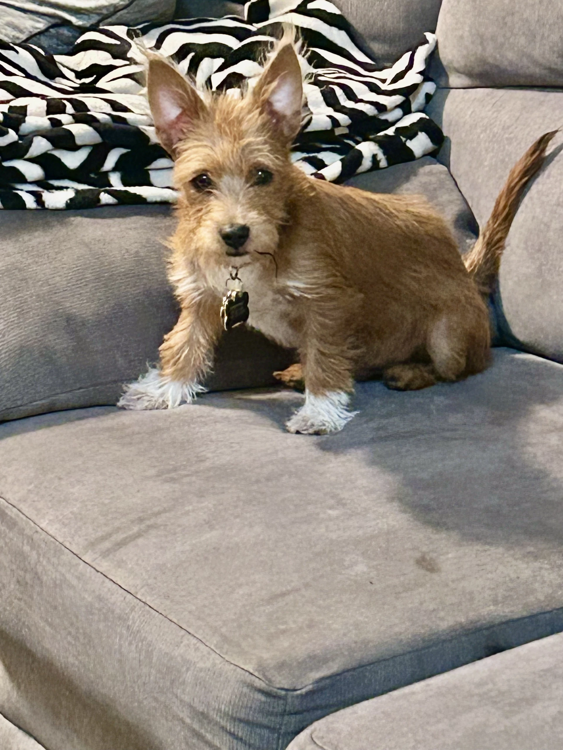Max