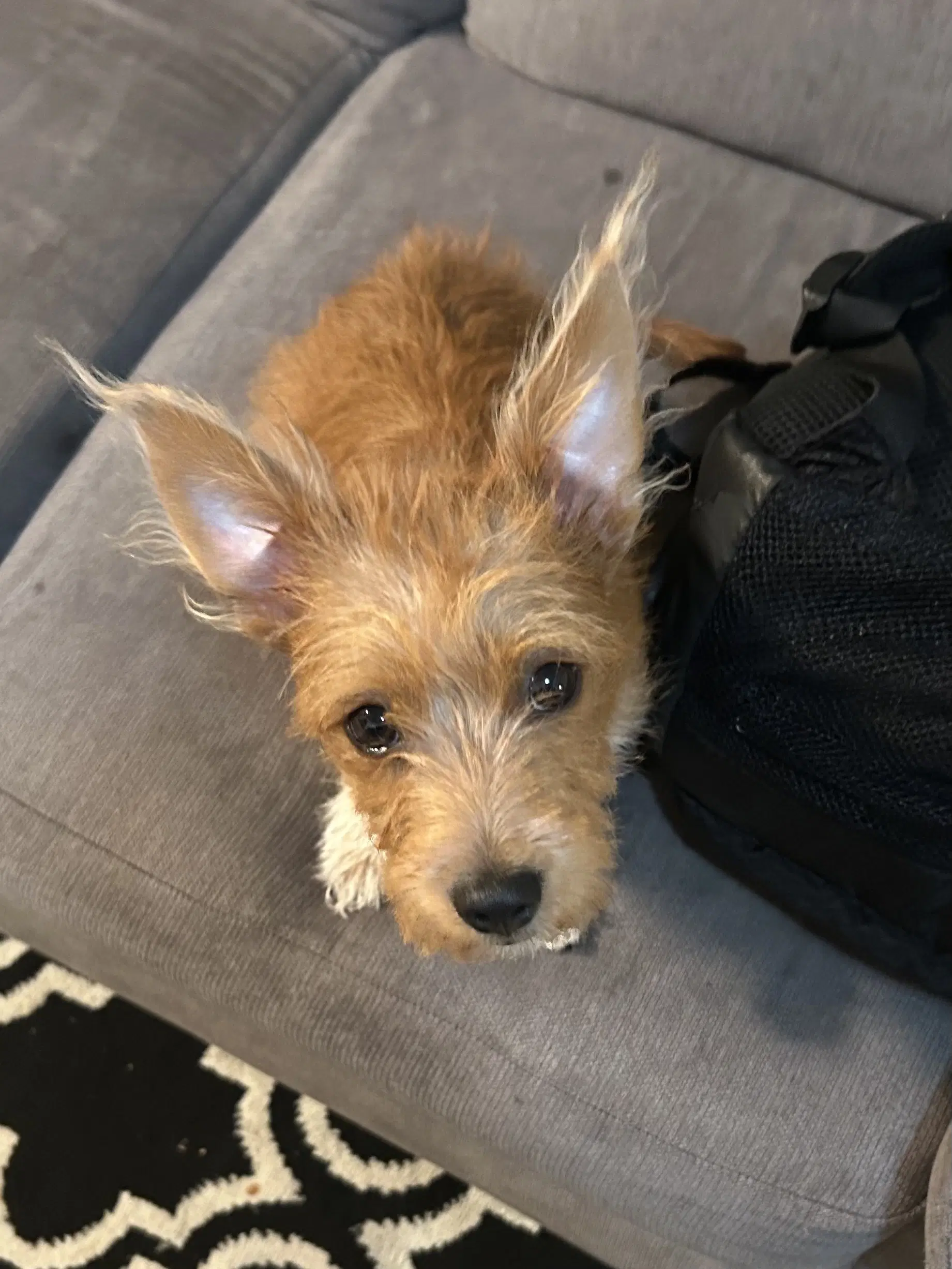 Max image 2