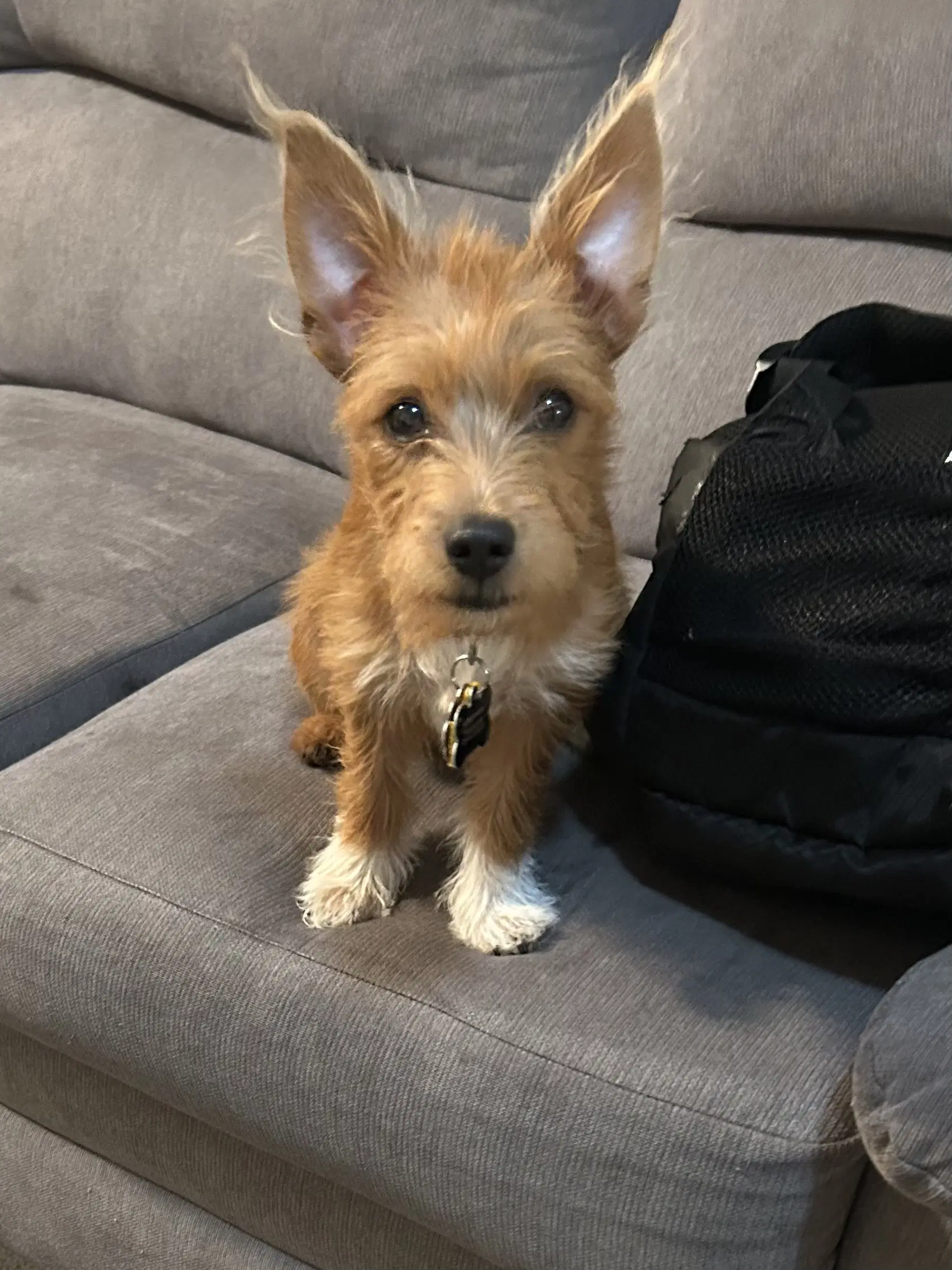 Max image 3