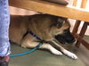 TEXAS, DALLAS/FORT WORTH AREA; 
