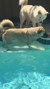 TEXAS, DALLAS/FORT WORTH AREA; 