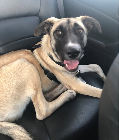 TEXAS, IRVING; **URGENT** 
