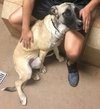 TEXAS, IRVING; **URGENT** 