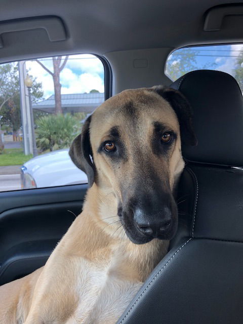 FLORIDA, PORT ST LUCIE; **URGENT** 