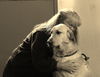 OREGON, SCIO **NEEDS ADOPTER** 