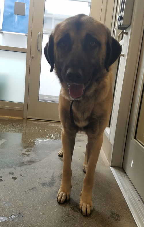 CALIFORNIA, SF BAY AREA; **URGENT** 