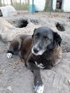 NORTH CAROLINA, VANCEBORO *URGENT*