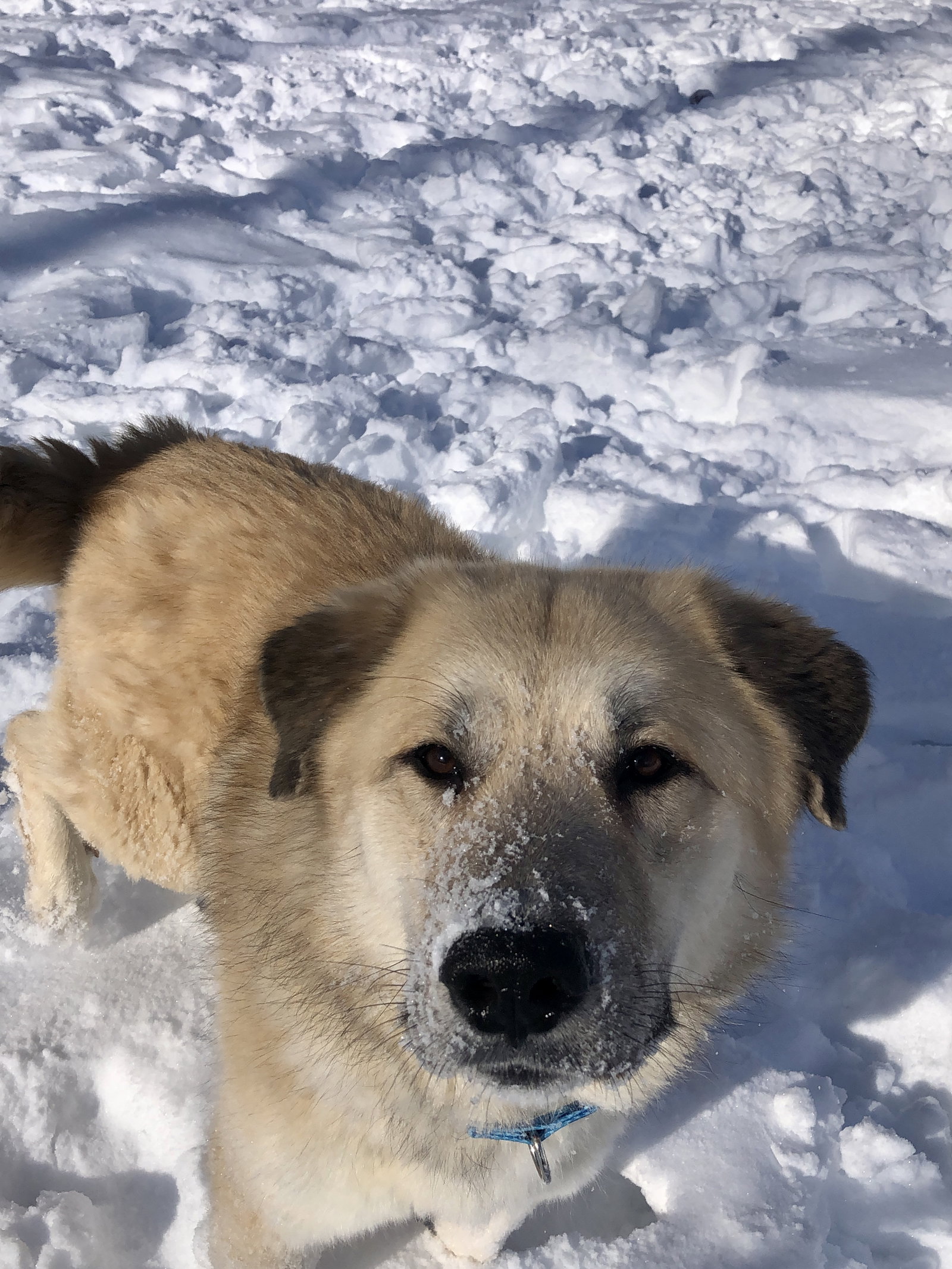 MICHIGAN, TRAVERSE CITY (AREA); "BRUCE"'s  Page