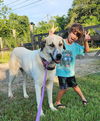 TEXAS, GAINESVILLE; *FOSTER OR ADOPT* 