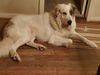 TEXAS, CONROE (AREA);  